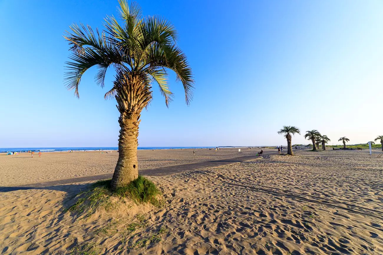 🌊 모토스카 해수욕장 (本須賀海水浴場) 이미지 6